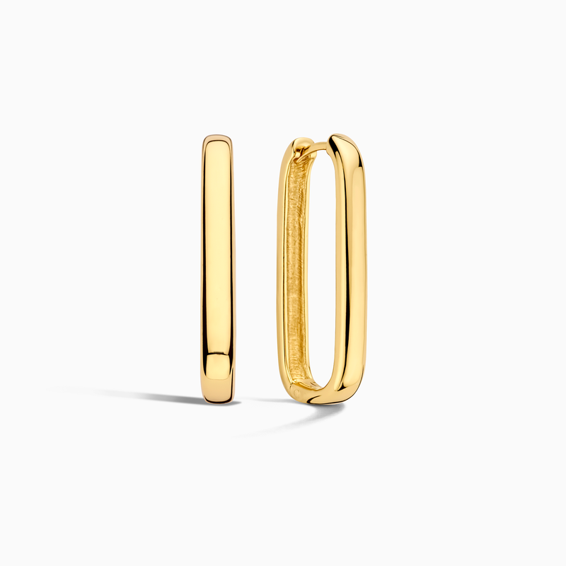 Gold Icon Hoops