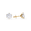 Gold Tera Earrings